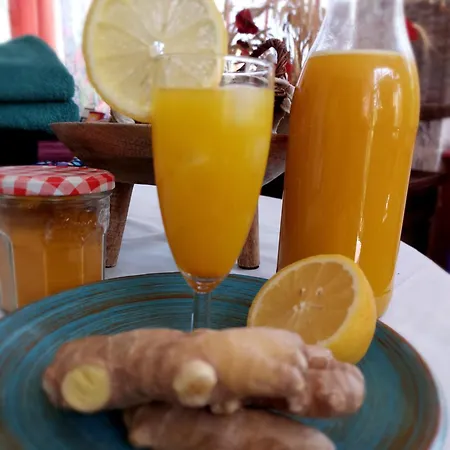 La Maison De Marie-jeanne - Le Rocher D'ongles Bed and breakfast Ongles